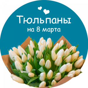 Купить тюльпаны в Суровикино